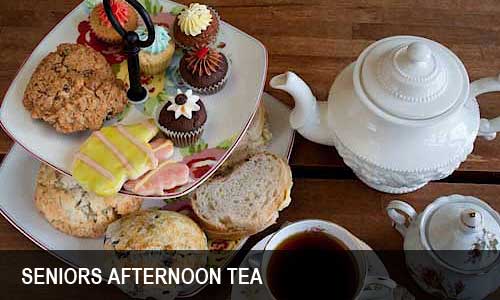 siniors-afternoon-party-500x300